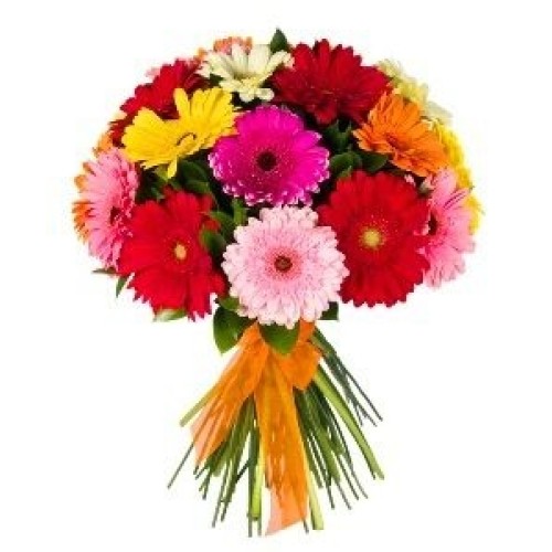 Round bouquet of 24 Premium gerberas